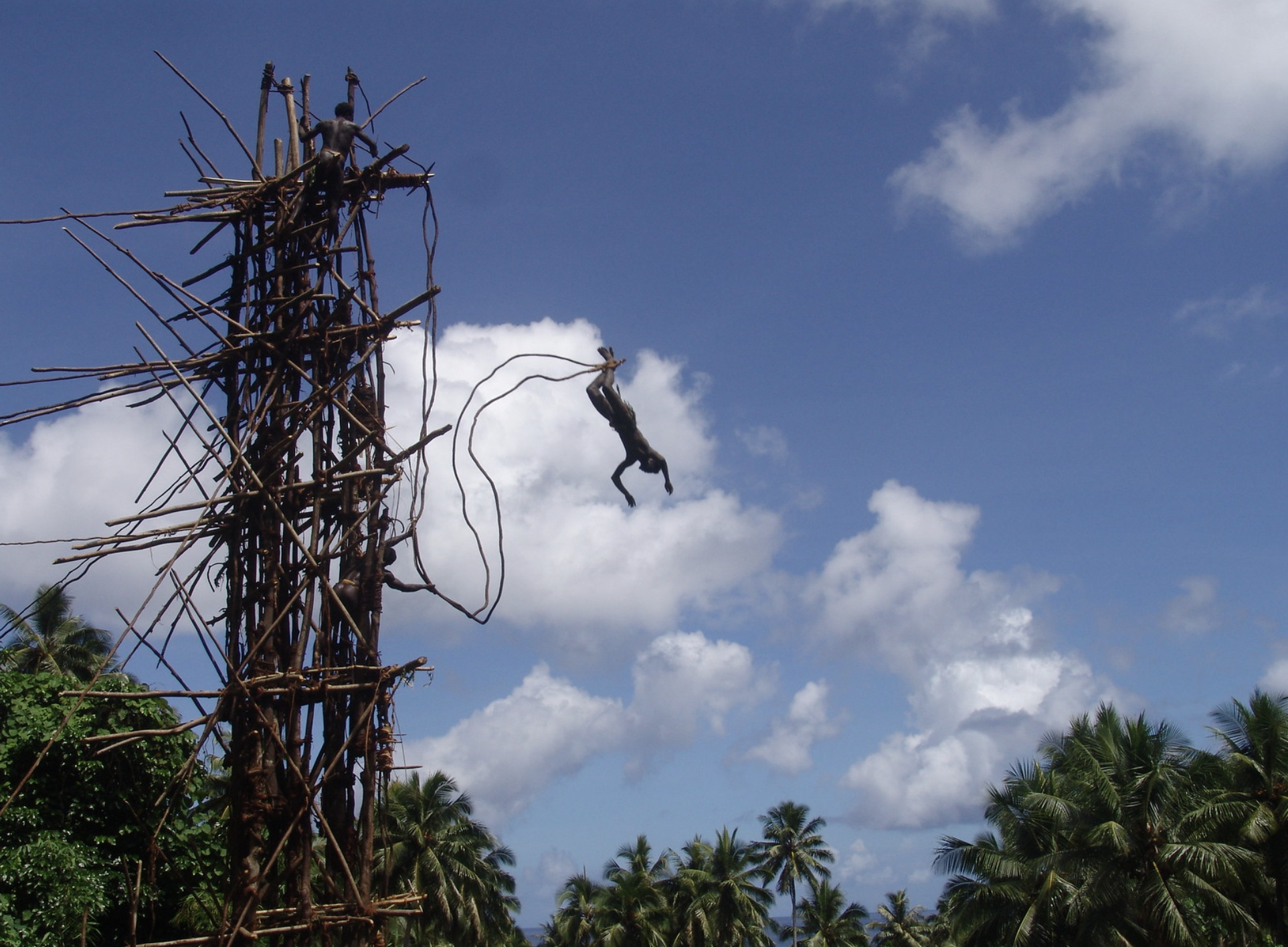 Historia bungee